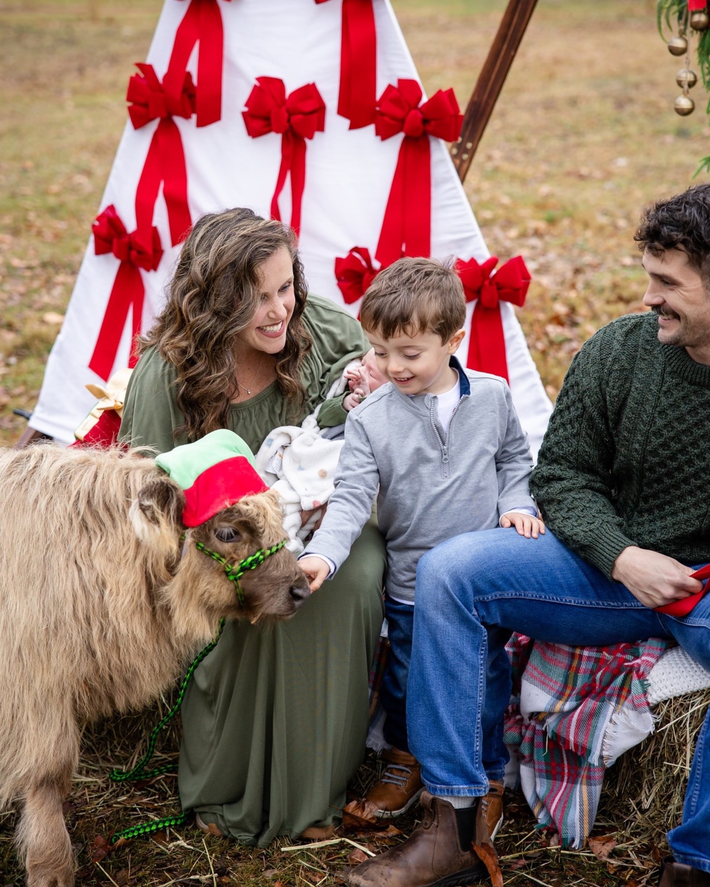 A little recap from this weekend! 💫🎄
.
.
.
highland cows . christmas photos . family photography virginia . silk wheat photography