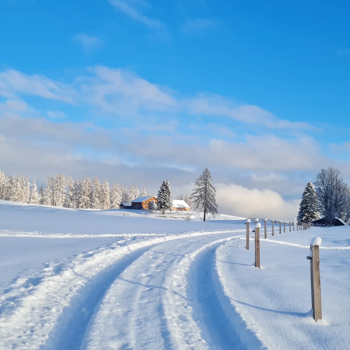 Tage wie dieser... wenn man schon in der früh spürt, dass er etwas ganz besonderes wird☀️
Die erste Schneeschuhwanderung des Jahres ist auch immer was besonderes. Dir ersten ungewohnten Schritte, langsam kommt der regelmäßige Rhythmus und es läuft sich wie auf weichen Wolken☁️
Die unberührte, glitzernde Schneedecke ❄️ und die wunderbare Stille... Glück pur🍀
Bei einer geführten Schneeschuhwanderung kannst du dieses Glück auch erleben. Bist du dabei?
#winterwandern #schneeschuhwanderung #wandern #winter #hike #iguideyou #bergliabi #naturelove