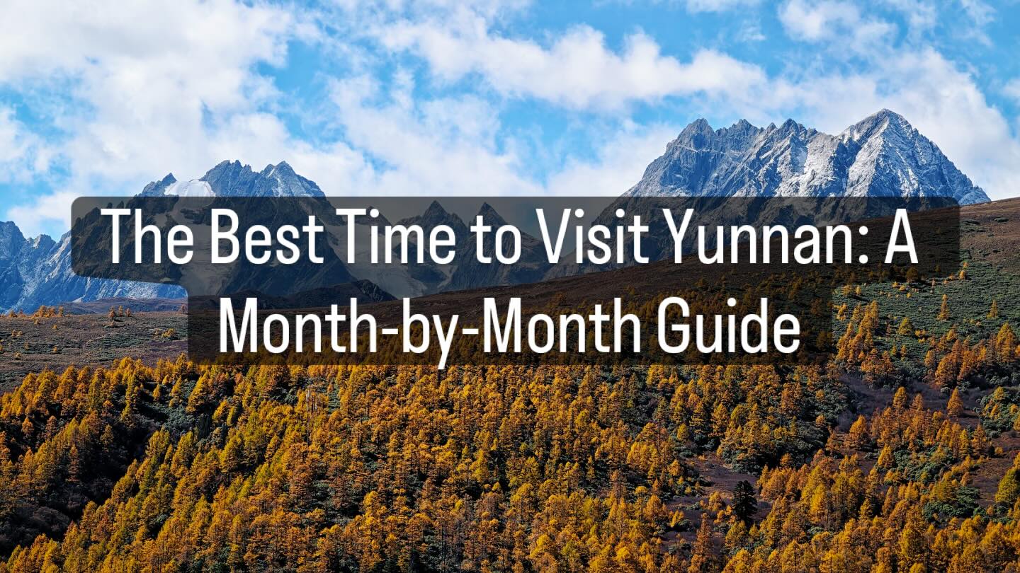 The Best Time to Visit Yunnan: A Month-by-Month Guide
Discover the best time to visit Yunnan with this month-by-month guide. Local insights on weather, landscapes, festivals, and top places to visit in Lijiang, Dali, Shangri-La, and beyond.
check more on: https://www.kikiholidays.com/post/the-best-time-to-visit-yunnan-a-month-by-month-guide-local-expert-tips-for-2026
#yunnan #china #kikiholidays #yunnantravel #chinatravels
