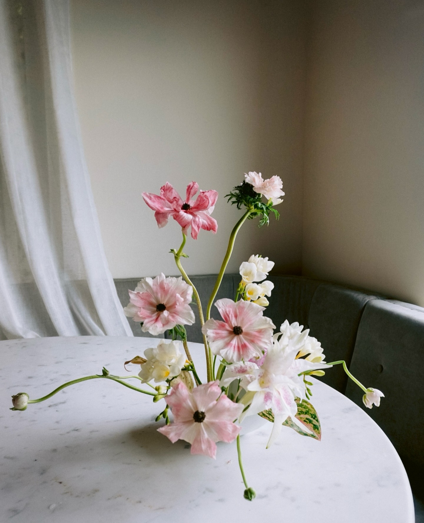 A serene moment after the rain, when light returns in a tender way. Have a beautiful weekend, flower friends!