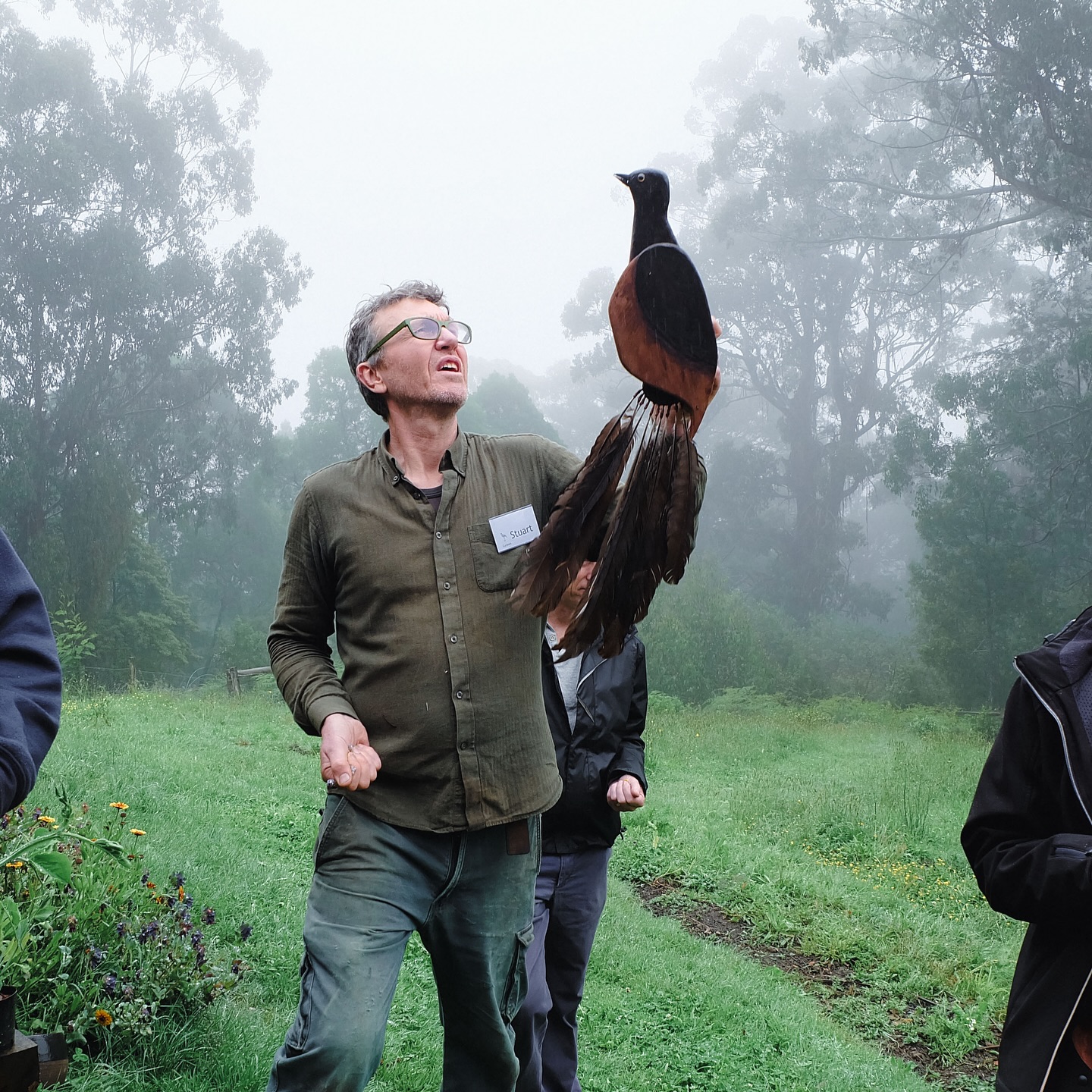🌴 It was our pleasure to join the Splendour in the Slenders celebrations yesterday with the @gippslandforestguardiansinc at @tarwin_river_forest.
The event was a chance to pause, gather, and acknowledge the incredible work and ongoing support that helped secure proper environmental protections for Fellas Coupe in Turtons Creek, Strzelecki Ranges.
Fellas Coupe will now protect 174 hectares of important forest, including wet Mountain Ash forest, Cool Temperate Rainforest, and the rare Warm Temperate Rainforest.
HVP announced the decision to regenerate this area in September, a move that will help safeguard local biodiversity and strengthen habitat connectivity for native species.
This is great news for the Strzeleckis and for biolinkage across South Gippsland. Our vision is for a network of biolinks from the Strzelecki ranges to the Prom Coast. The forests of Turtons Creek lie in the northern section of our target zone and the protection of Fellas Coupe - and the dedicated community that continues to rally around it - marks a significant step towards our goal of connecting people and nature.
Slides 3-5 @heathwarwickphotography
#southgippsland #southgippslandshire #strzeleckiranges #turtonscreek #hancockvictoriaplantations #biodiversity #protectnativeforests #endnativeforestlogging