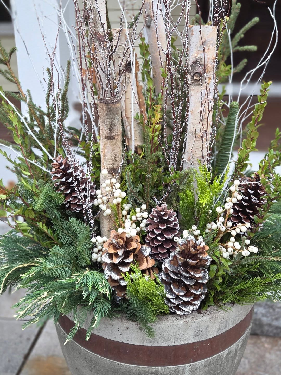 I designed this winter container garden to feel earthy, woodsy and natural, simple and monochromatic, with a variety of evergreens, white accents and birch bark. Let me know what you think!!
#containergarden #winterdecor #horticulture #carlislema #tistheseason🎄