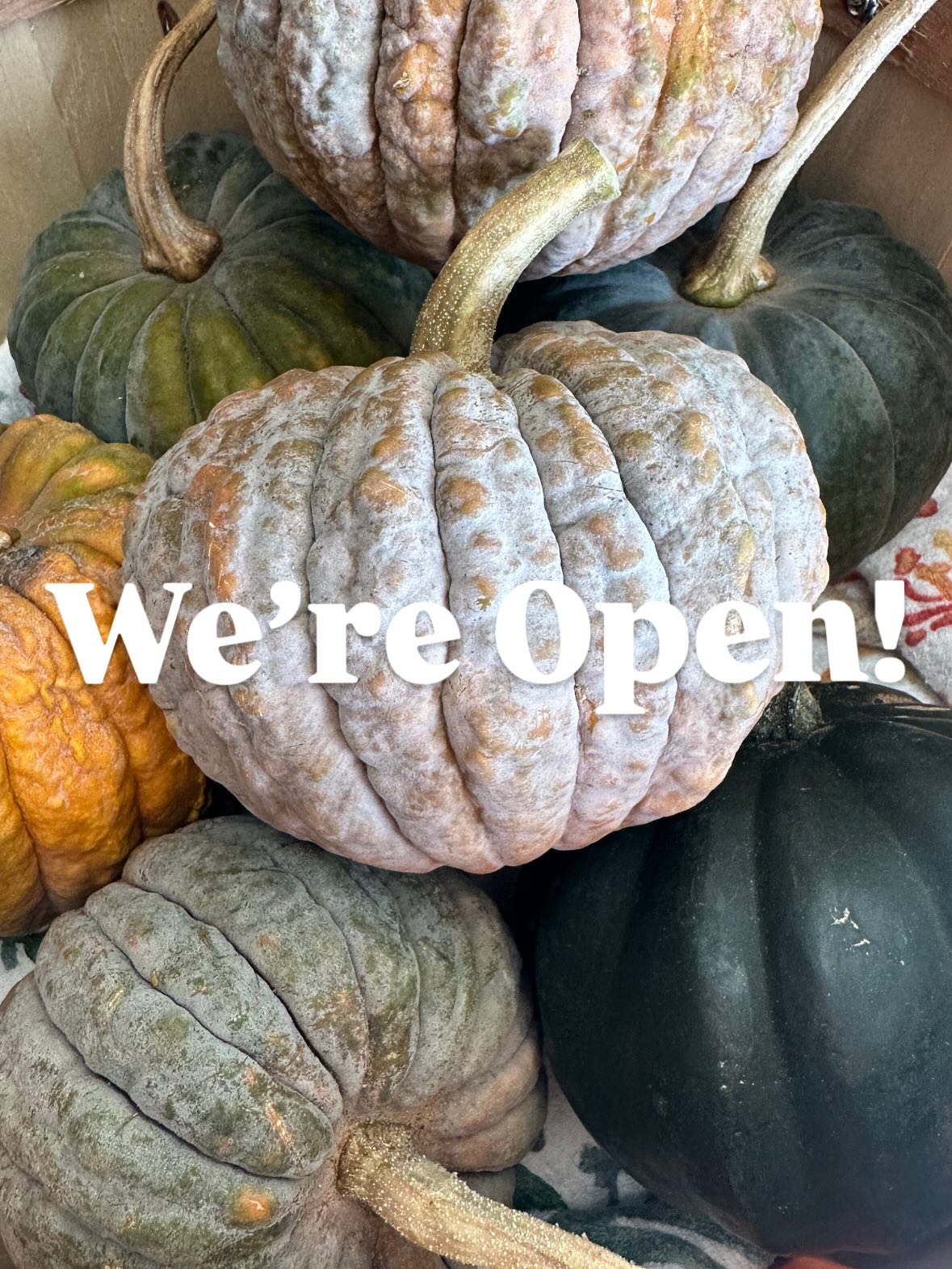 Farmstand is open! Today and tomorrow are our last two days of the season!
We’re freshly stocked with bread and cookies, mixed green salad mix, spinach, arugula, carrots, and plenty of fresh herbs. Thanksgiving dishes are soooo much better with fresh local herbs! We also have a selection of yummy winter squash, dried beans, garlic braids, potatoes, and more!!
Remember these are the last couple days we’re open for the year, so come stock up. These carrots, squash, garlic, and beans are all meant to store and will last you the winter!
Please note access from Heaven Ave is still closed, but you can reach the Farmstand via Chapman Drive!