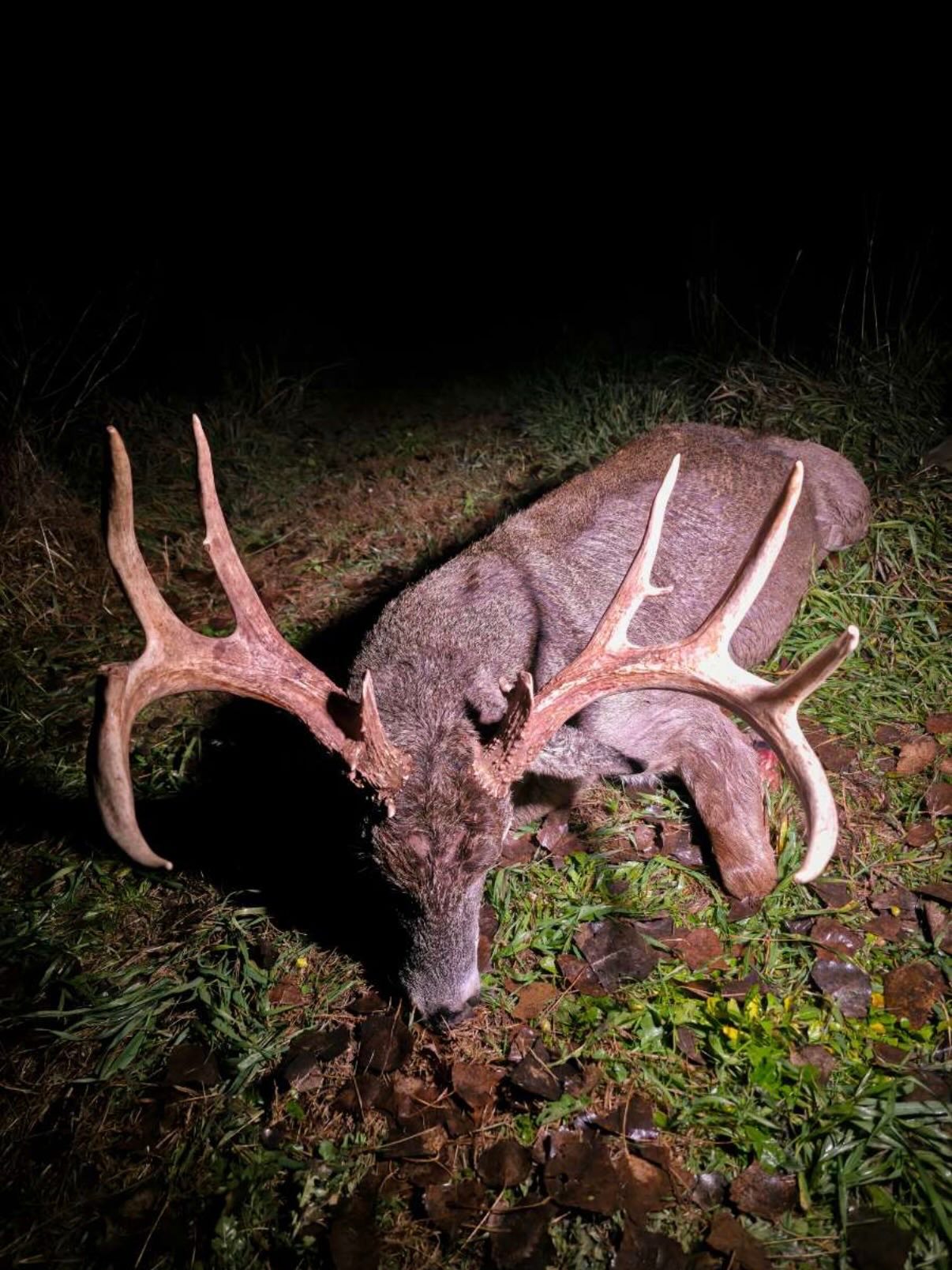 Customer pics are still rolling in from the Nebraska rifle season!! Here are a couple hammers!! Find a dealer near you at www.nxtleveldeer.com or give us a call to get on the program!
.
.
.
#supplementsthatwork #nxtleveldeersupplements #takeyourdeertothenxtlevel #letemgrow