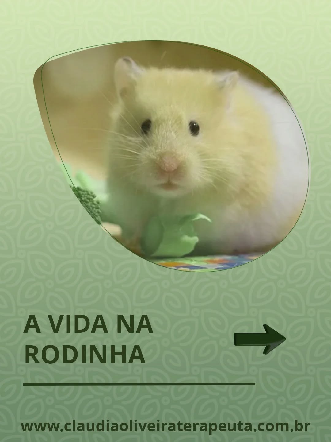 Quantas vezes você já se sentiu preso na própria rotina, correndo sem parar, repetindo padrões que não escolheu — como se estivesse dentro de uma rodinha que nunca muda?
A vida, muitas vezes, se torna exatamente isso:
um movimento automático, cansativo e silenciosamente destrutivo.
Vamos acumulando emoções, expectativas, exigências…
e chamando esse desgaste de “normal”.
Mas existe um momento em que o corpo cansa, a mente transborda e a alma pede por evolução.
É aí que começamos a perceber que não estamos vivendo — estamos apenas girando.
O Humano Sem Higiene Mental nasce dessa consciência.
É uma obra profunda e reflexiva sobre as prisões invisíveis que criamos,
os padrões emocionais que reciclamos
e os ciclos que se repetem porque ninguém nos ensinou a olhar para dentro.
Você não vai ler sobre a rodinha dos ratos apenas como metáfora.
Vai entender o jogo interno,
vai reconhecer os seus sintomas,
e, principalmente, vai aprender a acessar o seu conselheiro interno,
o ponto de lucidez que diferencia uma higiene mental superficial
de uma higiene mental profunda — aquela que realmente transforma.
Se você está cansado de repetir os mesmos caminhos,
se sente que já viveu demais dentro da mesma rodinha,
ou se deseja romper padrões que te acompanham há anos,
este livro é para você.
📘 O Humano Sem Higiene Mental
Agora em pré-venda na Amazon.
👉 https://amzn.to/47KF4Fg
Desperte para a vida que existe além da rodinha.
#HumanoSemHigieneMental #HigieneMental #Autoconhecimento #SaudeMentalImporta #DesenvolvimentoPessoal #TransformacaoPessoal #CrescimentoEmocional #EquilibrioEmocional #VidaConsciente #DespertarDaConsciencia #QuebraDeCiclos #RomperPadroes #SaudeDaMente #AutocuidadoSempre #LivroNovo #PreVenda #LivroDeAutoAjuda #LivroTransformador #LeituraRecomendada