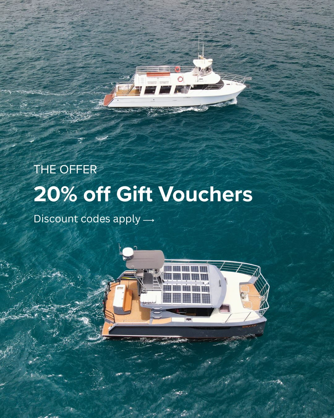 *Our massive Black Friday sale starts NOW!
🎉20% OFF gift vouchers for these incredible adventurers:
✔️Whale Shark Discovery
✔️Sunset Whale Watching Cruise
✔️Coral Bay Exclusive
🎁Vouchers valid for 3 years
⚠️Limited quantities - once they’re gone, they’re gone!
✨Gift adventure this Christmas*