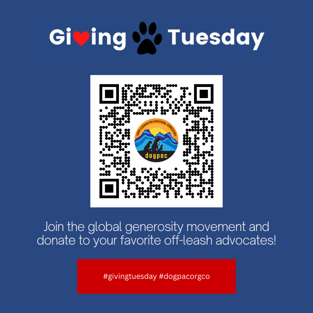 Thank you to all of our supporters. If you are interested in donating on this Giving Tuesday, please follow this QR code, or find the link in our bio!
#dogpacorg #givingtuesday #centraloregongives #offleash #hikingwithdogs