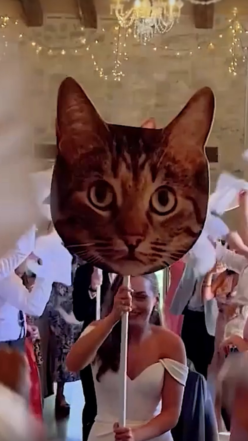 Your cat can’t come so what do you do? Make them the star of the show 🤣 such a cute moment from this gorgeous wedding.
Filming for memories 💛
Planner @suechris1995 for @marrymeinfrance.
Venue @chateaudestpaul.
Hair @weddinghairdordogne.
Makeup @skin23_mua.
Photographer @francesmarysales.
Music @feelslikejulyuk.
.
#weddingfilmfrance #weddingsouthwestfrance #chateauwedding #contentcreatorfrance #chateauweddingfrance #perfectlittlewedding