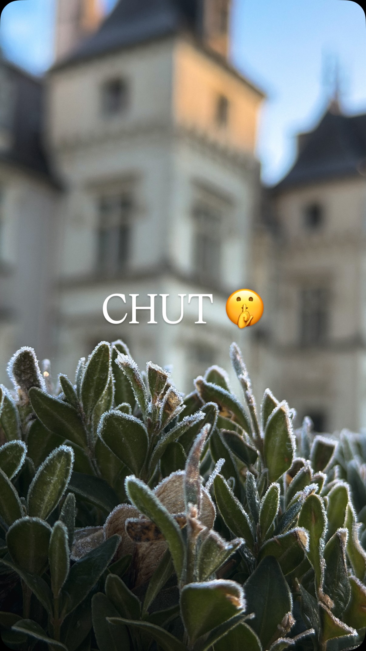 Aujourd’hui, le château a décidé de faire sa propre bande-son. 👻🔊
#VieDeChâteau #ChâteauLifestyle #CoulissesDeChâteau #ChâteauDeLaVillaumaire #VivreDansUnChâteau #Touraine #IndreEtLoire #Patrimoine37 #ChâteauxDeLaLoire #ReelsFrance #DailyReel #FrenchCountryHome #InspirationMaison #SlowLivingFrance #DécouvrirLaFrance