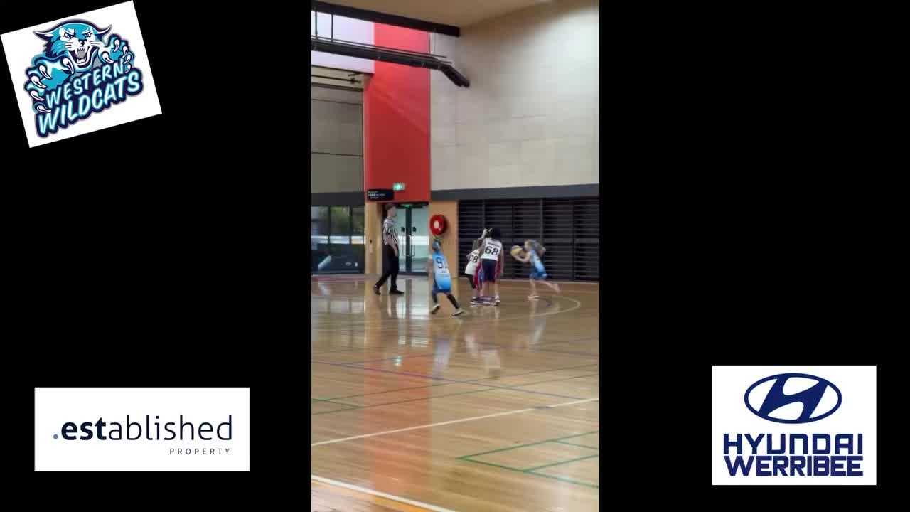 ๐๐ฉต WILDCATS HOLIDAY HOOPS RECAP! ๐ฉต๐
Is it too early to put โnext Wildcats gameโ on your wish list? ๐๐
Because SAME. Weโre still unwrapping the madness from last weekend.
The Wildcats didnโt just come to play โ they sleighed the competition. โ๏ธ๐ฅ
Handles so smooth they deserve a spot under the tree? โ๏ธ
Plays that defied gravity like Santaโs sleigh? โ๏ธโ๏ธ
Non-stop hustle that never takes a holiday? Thatโs the Wildcat way. ๐ฅ๐พ
And those highlight clips youโre gifting us? Donโt stop now. ๐
A Grinch-level steal?
An assist so nice it deserves cookies and milk? ๐ฅ๐ช
A buzzer-beater that had the whole block ringing like jingle bells? ๐
Send it straight to our Messenger โ the Wildcat fam wants all the holiday magic on film. ๐ฌ๐ฒ
#WesternWildcats #HolidayHoops #SleighTheGame #westernwildcatsbasketball