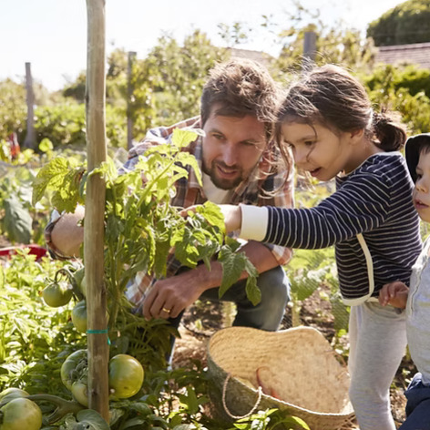 Did you know that biodiversity isn't just about protecting nature? 🐝🌱 It's the key to clean air, fresh water, and even our food security. Discover how species decline impacts us all and why saving nature is saving ourselves. 🌍
🌿 Explore how every small action can lead to big changes in our fight against biodiversity loss. Let's make a difference together! 💚 https://tinyurl.com/2s952bxc