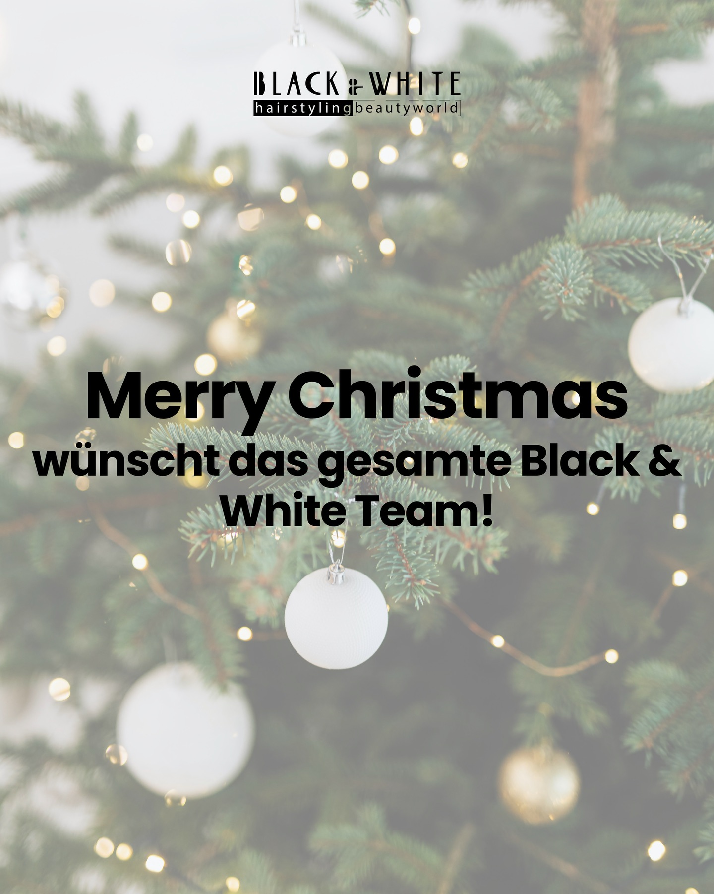 Frohe Weihnachten aus dem Herzen Zürichs ✨
Danke für euer Vertrauen, eure Begeisterung und die vielen grossartigen Gespräche, Looks und Begegnungen in diesem Jahr.
Wir wünschen euch stilvolle, entspannte und gemütliche Festtage; vielleicht mit einem kleinen Extra-Glow im Haar.
📍 Für alle, die sich noch ein Last-Minute-Styling gönnen möchten: www.blackandwhite.ch
#FroheWeihnachten #ZürichSalon #blackandwhitehairstyling