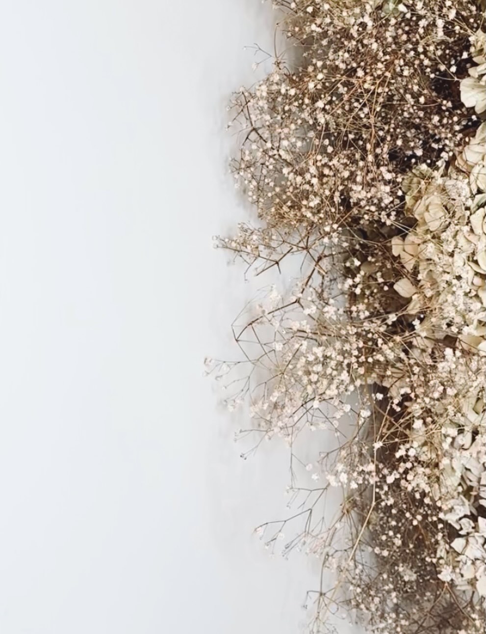 As of January 2026, a small price increase will be applied to selected treatments. This adjustment reflects rising product costs and current market changes, allowing us to continue offering the high quality service and results you expect from us.
All existing appointments booked for the new year will remain at the price you booked in at.
Thank you so much for your understanding and continued support 🦋