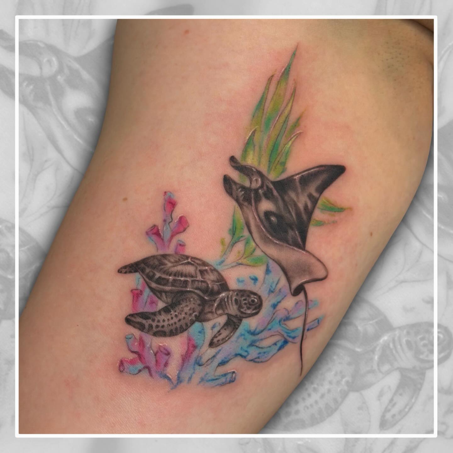 Fun little Water bird and Armoured Animal for Willow’s first tattoo
DM or Email for all bookings and enquiries
inkingtattoos@gmail.com
.
.
.
.
#northernbeaches #deewhy #sydneytattoo