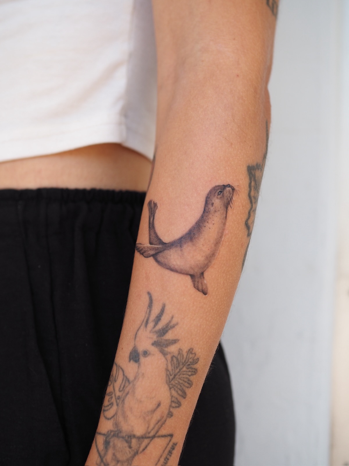 When you asked for a tiny seal tattoo and this is what you get 😍
.
.
.
.
.
.
.
.
.
.
.
.
#perthtattoo #finelinetattoo #microtattoo #blackandgreytattoo #sealtattoo