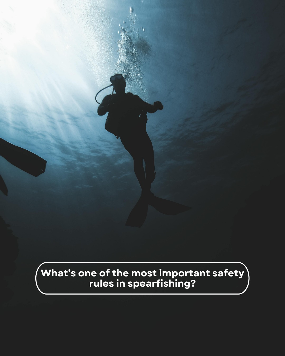 🗣️Always remember: when it comes to spearfishing safety, diving with a buddy is not only more fun, but will keep you safer!
#spearo #spearfishing