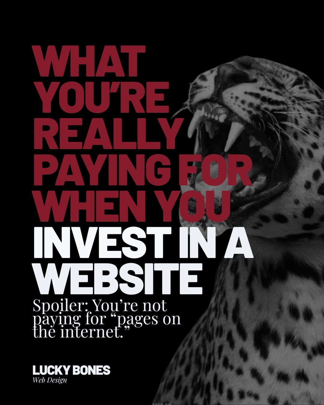 When you invest in a Lucky Bones website, you’re not paying for “pages on the internet.”
You’re investing in a tool that actively supports your business growth.
You’re paying for:
✨ clarity around what you do and who it’s for
✨ positioning that sets you apart from competitors
✨ confidence to share your link without apologising
✨ strategy behind every section, not guesswork
✨ structure that guides people instead of overwhelming them
✨ a website that actually sells while you’re busy doing literally anything else
Anyone can make a website exist.
Very few make one convert.
Because conversion doesn’t come from pretty colours and trendy fonts.
It comes from understanding your audience, their objections, their motivations, and the exact moment they’re ready to say yes.
This is about building a digital presence that feels intentional.
One that communicates your value instantly.
One that makes the right people think, “this is exactly who I need.”
If you’re done with patching together DIY fixes and you’re ready for a website that reflects the level you’re operating at now, not where you started, my inbox is open 🫶
Let’s build something that works as hard as you do.
