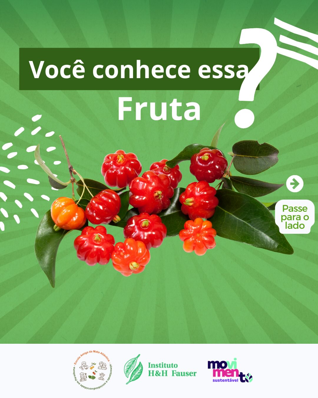 Essa é a Pitanga, uma das muitas frutas nativas da Mata Atlântica que fazem parte da nossa história, cultura e biodiversidade!
Boa potencialidade para consumo in natura e processamento da polpa (sucos, sorvetes, geleias, doces, licores, vinhos, etc.) além de ser indicada para plantios de reflorestamento e sistemas agroflorestais.
📢 Conta pra gente: você já provou Pitanga? Se sim, o que achou?
⠀
Realização do @ihhfauser com apoio da Prefeitura de Paraibuna, projeto realizado por meio do #ProgramaMovimentoSustentavel.
#Uvaia #FrutasNativas #EducaçãoSocioambiental #Paraibuna #MataAtlântica #Sociobiodiversidade