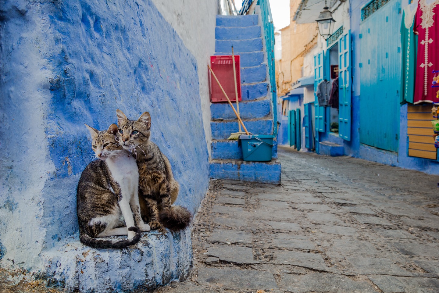 Dusting off some photos from the archives 📸 part 2 (the landscape version)
- Chefchaouen, 2019
- Iceland, 2016
- New York, 2017 (2x)
- Amsterdam, 2018
- Fes, 2018
- Petra, 2021