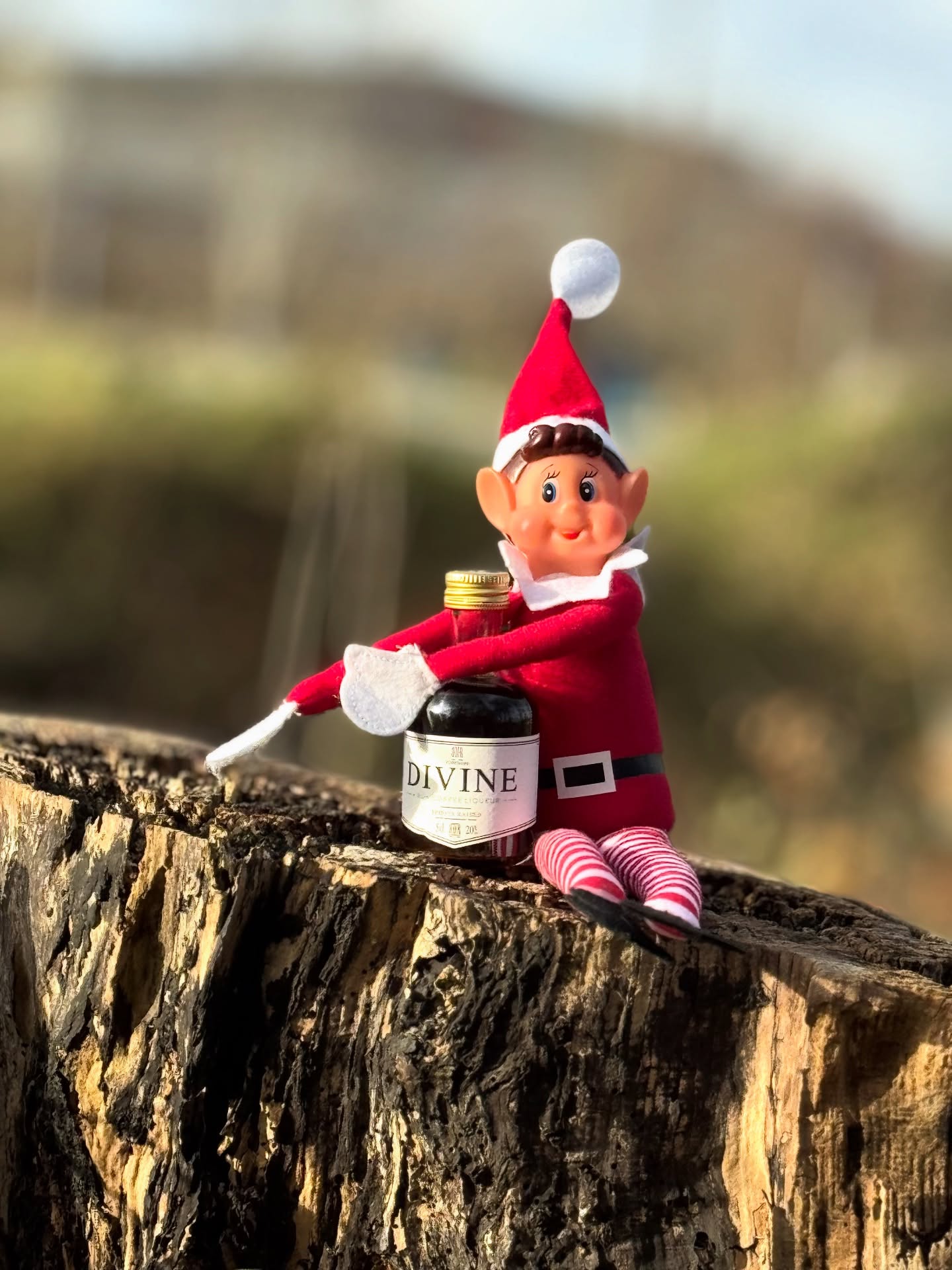 ๐ฏโโ๏ธ Mates need matesโฆ and as adults?
Letโs be honest โ ๐๐ ๐๐๐๐ ๐๐๐
๐
๐๐.
(Preferably the Rum Coffee kind that makes Mondays survivable and Fridays legendary)โ๏ธ๐ฅ๐ฅ
Share a drink with friends.
Have a tipple with family.
But most importantlyโฆ
โจ ๐ฌ๐ญ๐๐ฒ ๐๐ข๐ฏ๐ข๐ง๐. โจ
โฆbecause lifeโs better with good company, good vibes, and a cup thatโs definitely not just coffee๐
#divine #coffee #rum