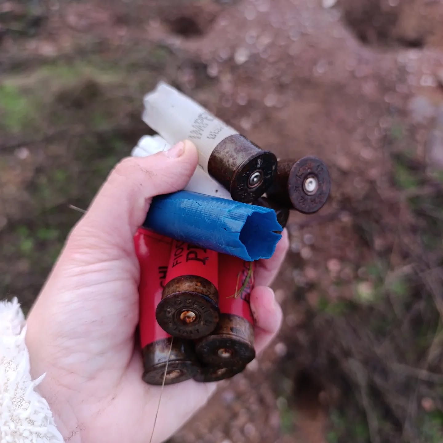 🇪🇸 Hoy, en domingos de grandes éxitos: alcohol, cartuchos, plásticos, cajas de cartón, y la cerveza porque no nos gusta, pero "nos habían" dejado una lata entera sin empezar (¿se le habrá caído a algún "LINCE"?).
Sí, tú, con estos actos incívicos pierdes la poca dignidad que te queda, manchas el trabajo de todo el colectivo cinegético, de tus compañeros/as y el de tus representantes, y condenas el porvenir de un territorio que nos pertenece a todos.
¿Es este el futuro que quieres para la caza?
Sinceramente, no lo entendemos.
#recogetusresiduos #territoriolince #respeto #SierraMorenadeJaen #noqueremostubasura
🇬🇧 Today, on “Great Sunday Achievements”: alcohol, cartridges, plastics, cardboard boxes—and the beer, because we don’t like it, but they had left us a whole unopened can (did some “LYNX” drop it, perhaps?).
Yes, you. With this kind of inconsiderate behavior, you lose what little dignity you have left. You tarnish the work of the entire hunting community, of your fellow hunters, and of your representatives, and you jeopardize the future of a land that belongs to all of us.
Is this the future you want for hunting?
Honestly, we just don’t get it.