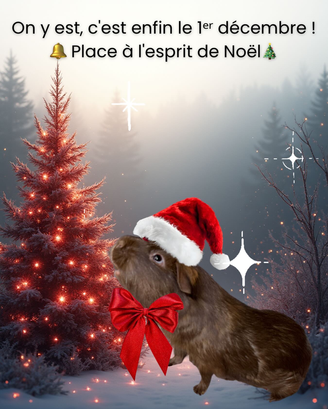 On y est, c’est enfin le 1ᵉʳ décembre ! 🔔 Place à l’esprit de Noël🎄
Chez Quartier des Nacs, l’esprit des fêtes est déjà là, et cette année, nous allons encore plus loin pour personnaliser vos accessoires de Noël ! ✨
🎄 Envie de créer un accessoire unique pour votre compagnon ? Nous proposons une sélection de tissus spéciaux de Noël pour des créations sur mesure : motifs flocons, pain d’épice, rennes, gnomes et bien plus pour un style festif et original !
Que ce soit un panier, un coussin ou même un Pad, nous confectionnons chaque pièce selon vos goûts.
🎁 Découvrez aussi nos accessoires festifs prêts à offrir, pour que votre NAC soit au cœur de l’esprit de Noël !
👉 Venez explorer nos options de tissus et démarrez votre commande personnalisée . Faites briller vos compagnons pendant les fêtes avec une création unique et pensée pour eux. (lien dans la bio)
🎅 Vous aussi, vous préparez déjà Noël pour vos compagnons ?
Partagez vos préparatifs avec nous et taguez vos NACs en mode festif 📸 !
Prenez soin de vos petits compagnons avec Quartier des Nacs 🐾
#cochondinde #lapins #chinchillas #animauxdecompagnie #bienetreanimal #nöel #chiendefrance