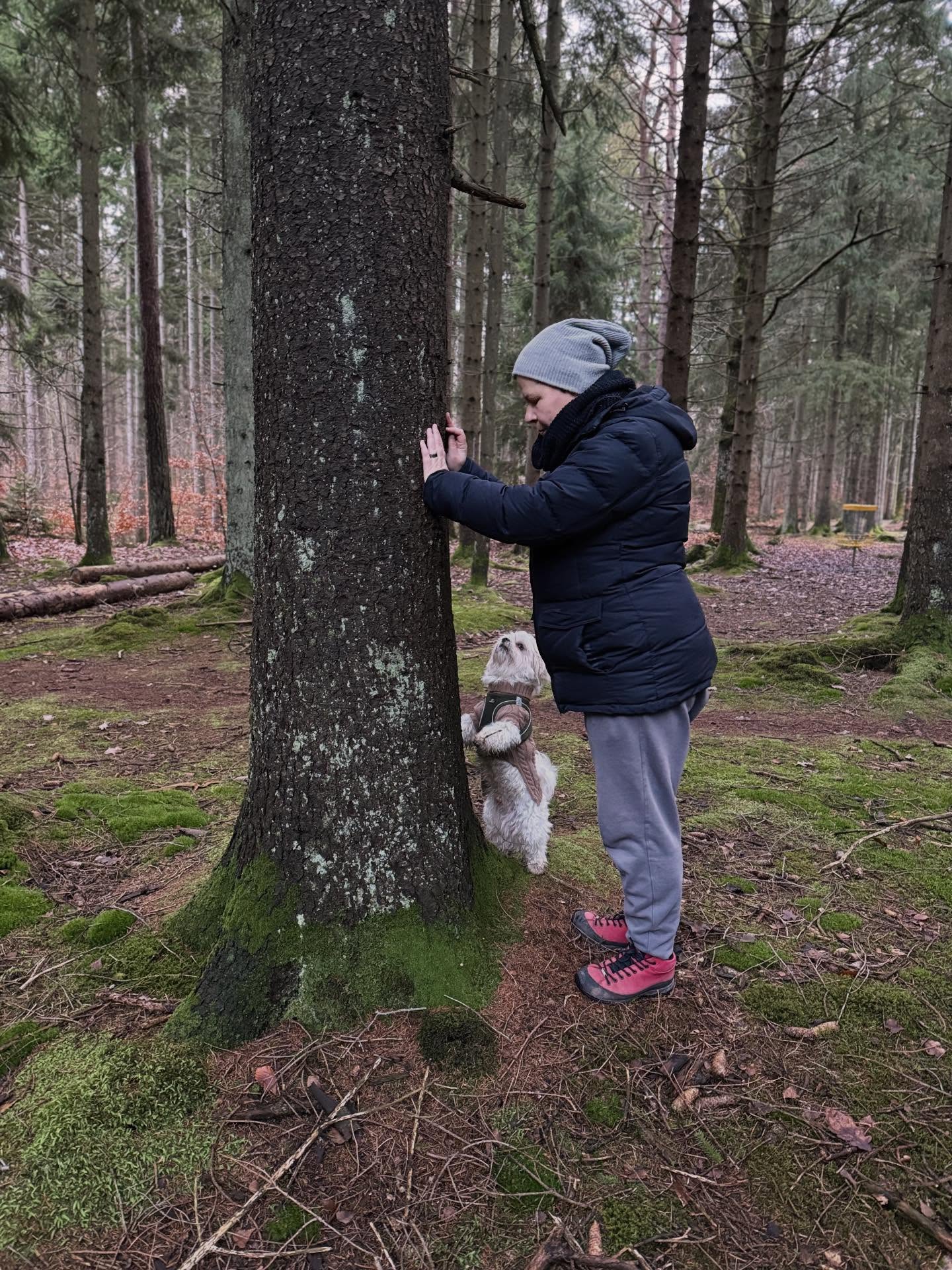 Tänk dig att du vandrar genom skogen. Luften är fylld av doft av mossa och fuktig jord, och varje steg känns lättare än det förra. Jag minns hur jag under 20 år i Stockholms innerstad ofta sökte Årstaviken – min lilla plats för att möta naturen. När jag flyttade till Bromma blev Judarnskogens naturreservat en plats där kroppen fick vila och själen påfyllning.
Idag bor vi på landet på västkusten, vid skog och hav, och ibland måste jag nypa mig i armen. Den stillhet som naturen ger stärker kroppen, klargör sinnet och fyller själen med energi.
Power, min hund, älskar skogen lika mycket som jag. När han ställer sina tassar mot ett träd, syns hans glädje och nyfikenhet. Han jordar sig naturligt, och vi får tillsammans en stund av lugn och närvaro där både kropp, sinne och själ får vila.
Att vistas i skogen och ta på ett träd ger mer än bara stillhet:
🍃 Kroppen slappnar av och stressen minskar.
🍃 Nervsystemet lugnas och närvaron i nuet ökar.
🍃 Immunförsvaret stärks och återhämtningen förbättras.
🧠 Sinnena klarnar och tankarna blir tydligare.
🍃 En djup känsla av jordning och inre ro uppstår.
Skogen väntar på dig. Stanna upp, känn marken under fötterna, låt händerna vila mot barken och låt dig fyllas av samma kraft och lugn som naturen vill ge.
Så gör det till en vana: Ge dig själv en stund i naturen denna kommande vecka. Låt naturen fylla dig med energi, lugn och klarhet. Din kropp, ditt sinne och din själ kommer tacka dig.
🌳 Hur ofta är du ute i naturen?
.
.
.
#natur#nature#healing#stillhet#dog#hund