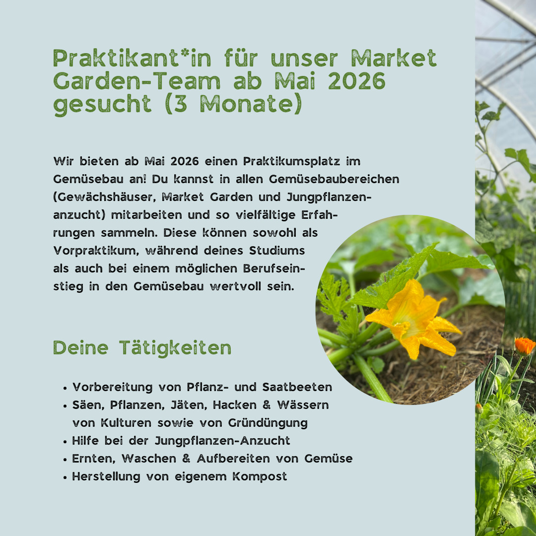 Auch im nächsten Jahr haben wir wieder eine Praktikumsstelle zu vergeben. Melde dich bei uns, wenn du Interesse hast oder teile die Ausschreibung!