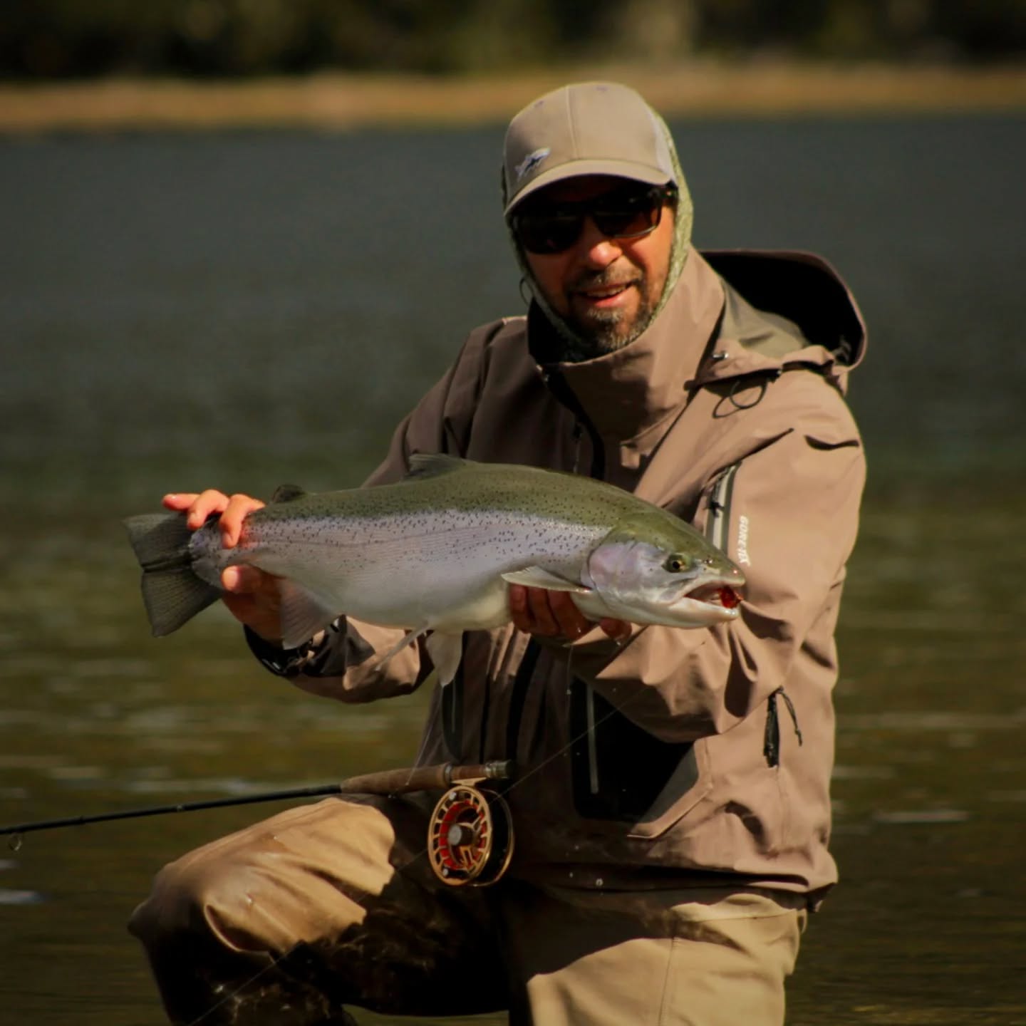 Noviembre en su máximo esplendor: buen clima, excelentes capturas y una temporada que viene mostrando todos sus matices.
Cada día en el lago es distinto, único… y noviembre nos está regalando jornadas que quedan grabadas: mañanas calmas, tardes de viento lleno de historias y truchas que sorprenden en cada rincón.
Un día de pesca en la Patagonia es mucho más que buscar un trofeo.
Es dejar que el tiempo afloje, respirar profundo, elegir la mosca correcta y escuchar al lago cuando te habla en silencio.
Es ese mate en la costa, las risas entre lances y esos momentos donde uno siente que todo encaja.
Esta temporada está siendo especial, auténtica, llena de emociones y capturas inolvidables.
Y queremos invitarte a vivirla:
vení solo, en familia o con amigos… la experiencia siempre te encuentra.
.
.
Amarra ⚓ @puertoelma
.
#FlyFishing #PescaEnLaPatagonia #PescandoLaPatagonia #FishingLife #CatchAndRelease #Truchas #PatagoniaArgentina #OutdoorLife #NatureVibes #FishingMoments #LagoTraful #VillaLaAngostura #AventuraPatagónica #PescaConMosca #Puyenes