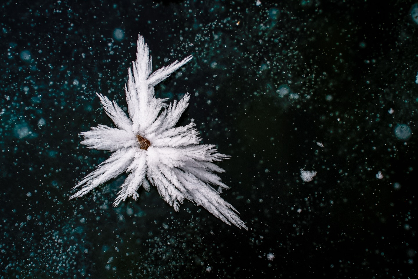 Enjoy the little things!
That’s one of my favorite images I took a while ago in winter. This hoar frost around a little stone was also created during last December’s freezing temperatures. It almost looks like a little alien creature floating through space.
#minimalistic #gdtfoto #fineartphotography #elementsphotomag #outofchicago #intimatelandscape #minimal_perfection #minimal_nature #feelinginspired #intimatenature #gominimalmag #folkscenery #greatnorthcollective