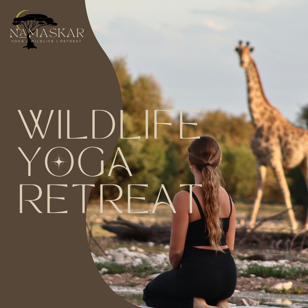 We’re excited to announce the dates for our next Wildlife Yoga Retreat: 15–20 February 2026 🦒✨🌙
This carousel offers a full look at the experience — from daily yoga surrounded by our breathtaking animals, to guided safaris, wholesome cuisine, restorative practices, spa and wellness areas and life on our 8,500-acre private reserve.
If you feel called to join us, we’d love to share more 🤎
Limited spaces available to keep the experience
Bookings & enquiries: @namaskarafricanretreats
hanneke@namaskarafricanretreats.com
