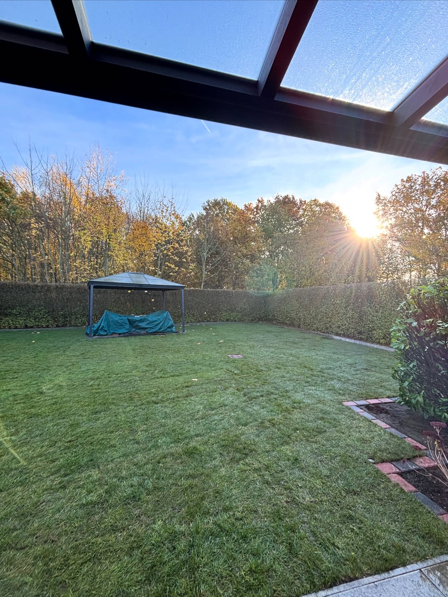 Eine Rasenfläche fachgerecht erneuert.
Vor kurzem durften wir eine Rasenfläche komplett neu aufbauen.
Der vorhandene Rasen war nicht mehr zu retten – also haben wir die Fläche abgeschält und fachgerecht entsorgt.
Anschließend wurde der Boden mit Komposterde verbessert, damit die neue Fläche von Anfang an gute Bedingungen hat.
Für ein dauerhaft sauberes Ergebnis haben wir zusätzlich:
• eine Bewässerungsanlage eingebaut
• ein Maulwurfschutzgitter verlegt
• eine Einfassung und durchgehende Rasenkante gesetzt – passend zum neuen Mähroboter
Zum Schluss kam Rollrasen zum Einsatz, der sofort ein gleichmäßiges, sattes Grün ergibt.
Die Bilder zeigen den Weg von der leeren Fläche bis zum fertigen Rasen – Schritt für Schritt, so wie wir als Gärtner arbeiten.
#DieGollo #Gartenbau #Rollrasen Rasensanierung Bewässerung Maulwurfschutz Rasenkante Galabau TeamGollo Rasenpflege Gartenarbeit WirSindGärtner