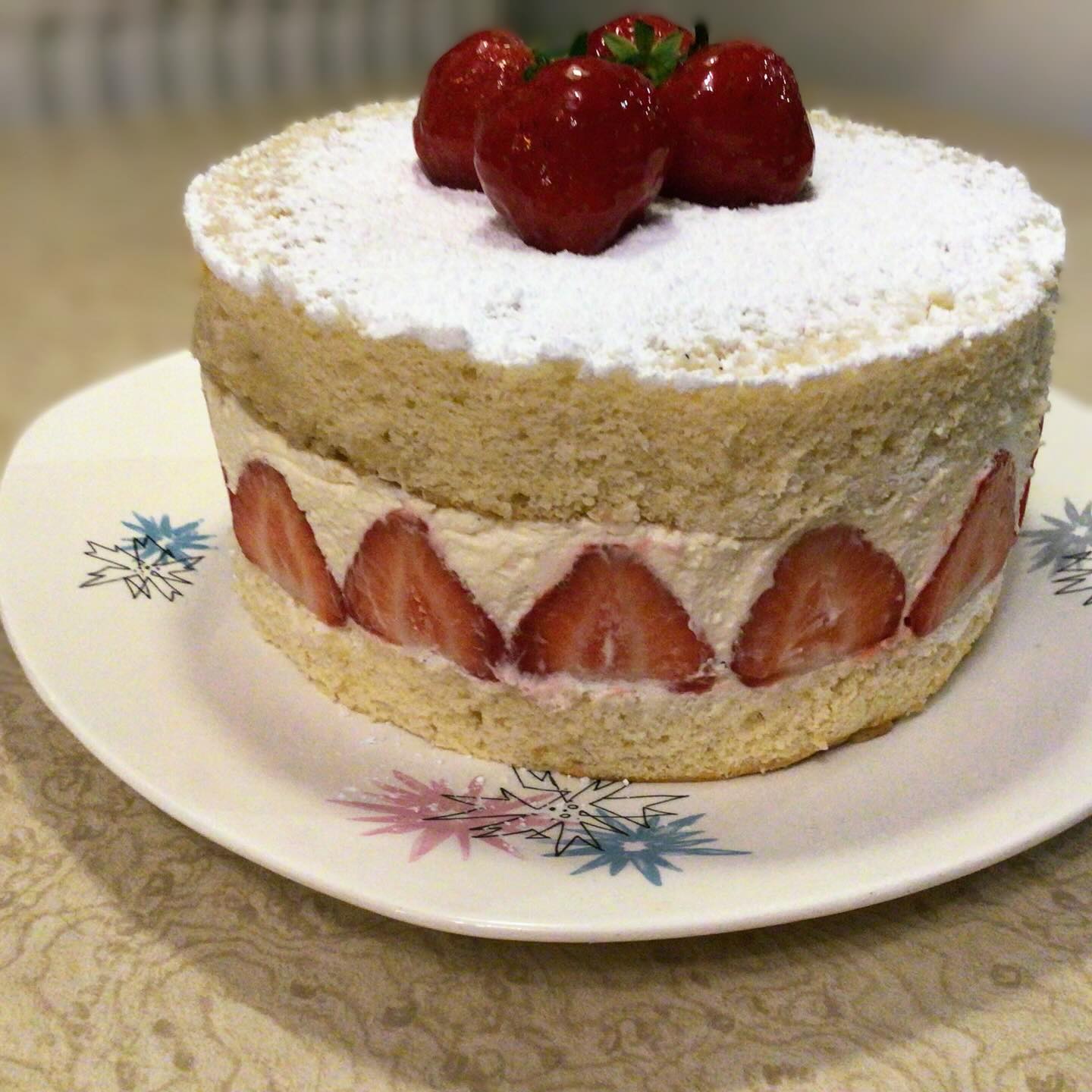 The Twelve Bakes of Christmas
I’ve fallen back in love with baking over the last few months. I have yet to share many pictures here, but as Christmas bakes and the year end approach, I thought I’d start now.
Day One
A Japanese Sponge, Strawberry Gateaux 🇯🇵
Springy, spongey vanillaryness, sandwiched with strawberry jam, set vanilla crème chantilly and berries. Yummy.