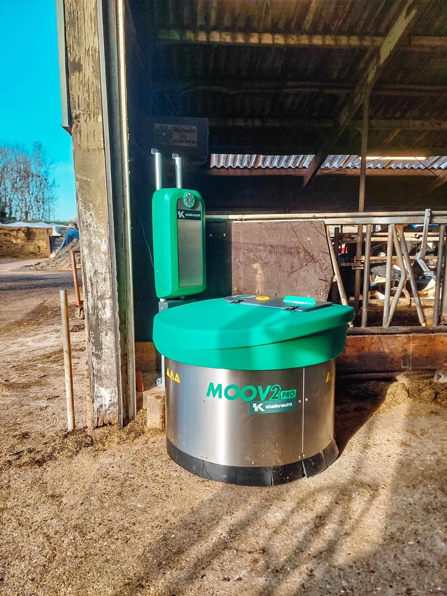Twee afleveringen in de spotlight!
Deze twee projecten willen we graag even uitlichten.
✨ In Terband installeerden we een Moov2PRO voeraanschuifrobot. Dankzij de slimme parkeerfunctie wacht de robot buiten tot de veehouder klaar is met voeren; efficiënt, veilig en perfect passend bij het bedrijf.
🧼 Bij een andere veehouder plaatsten we een Joztech JT200, uitgevoerd met watersproeioptie voor een nóg beter schoongemaakt resultaat.
Fijn weekend allemaal! 🙌
#Stalkracht #Staltechniek #Automatisering #Moov2PRO #JoztechJT200 #Melkveehouderij #Voeraanschuifrobot #Stalreiniging
