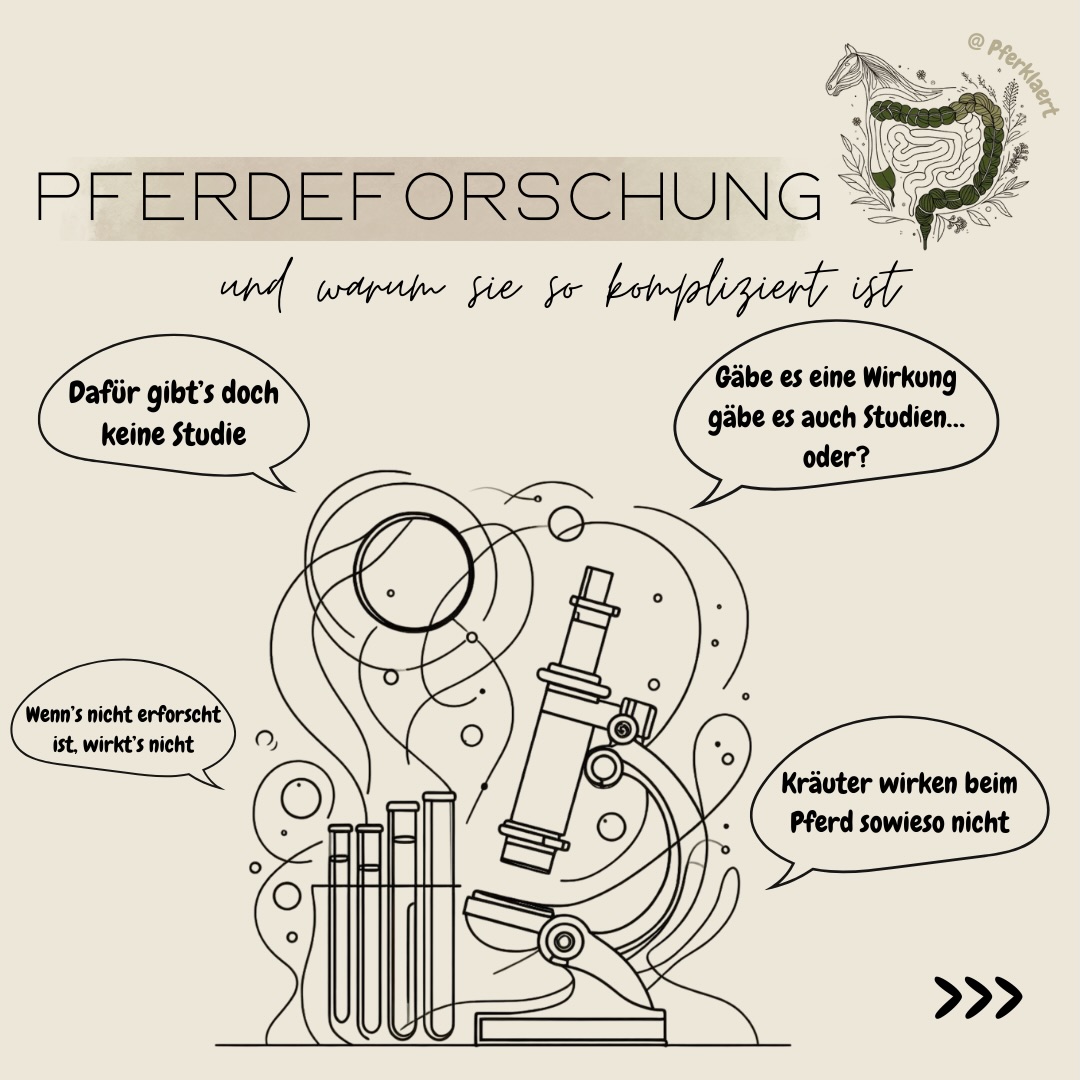 In den sozialen Medien gibt es gerade zwei Extreme:
Die einen sagen, es gebe für keinen einzigen Kraut- oder Pflanzenextrakt irgendeinen wissenschaftlichen Beleg beim Pferd und daher könne man auch nicht von einer Wirkung sprechen.
Die anderen wiederum sagen, es gäbe viel mehr Forschung, als wir denken und verweisen auf Studien, unter anderen an anderen Tieren wie Ratten, Schafen, Rindern oder Menschen.
Beides klingt auf den ersten Blick überzeugend. Aber was machen wir jetzt damit?
1️⃣Korrelation vs. Kausalität
Bevor wir über Forschung sprechen, müssen wir zwei Begriffe klären:
👉🏻Korrelation bedeutet, dass zwei Dinge gleichzeitig auftreten.
👉🏻Kausalität bedeutet, dass das eine das andere verursacht.
Doch genau das ist beim Pferd gar nicht so einfach herauszufinden. Anders als bspw Labortiere wie Ratten können Pferde nicht unter völlig standardisierten Bedingungen gehalten werden. Sie sind soziale, empfindsame und sehr individuelle Lebewesen, deren Verhalten und Physiologie von unzähligen Faktoren geprägt werden: vom Herdengefüge, Wetter, Temperaturen, Stresslevel, Tagesform, bisherigen Erfahrungen, der vorherigen Fütterung, der Qualität und Zusammensetzung von Heu oder Weide, bis hin zu Bewegungsmöglichkeiten und bestehenden Vorerkrankungen uvm. Diese Einflüsse lassen sich im Studienalltag kaum vollständig kontrollieren und viele davon werden in Untersuchungen auch gar nicht erfasst. Genau das macht es so schwierig, echte Kausalität beim Pferd nachzuweisen, selbst wenn eine Wirkung tatsächlich vorhanden ist.
2️⃣Warum Pferdeforschung so kompliziert ist
Viele Menschen unterschätzen, wie schwierig es ist, beim Pferd wissenschaftlich sauber zu arbeiten. Einige Probleme auf Bild 3&4.
⬇️in den Kommentaren geht es weiter⬇️