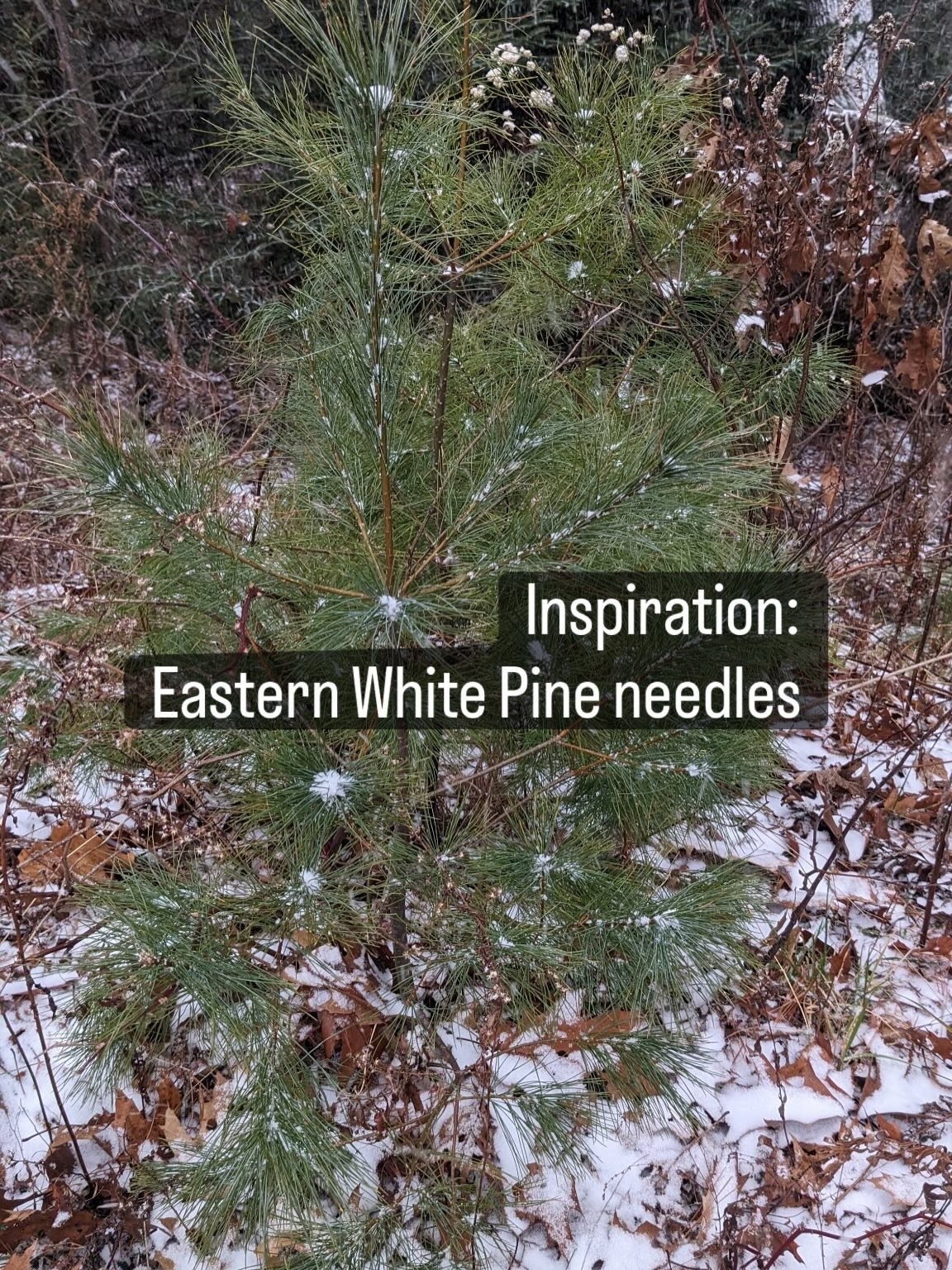 Hunkered Heron 2.0
#digbyveeverscarter #somersetsculptureandfoundry #foundrylife #bronze #lostwaxcasting