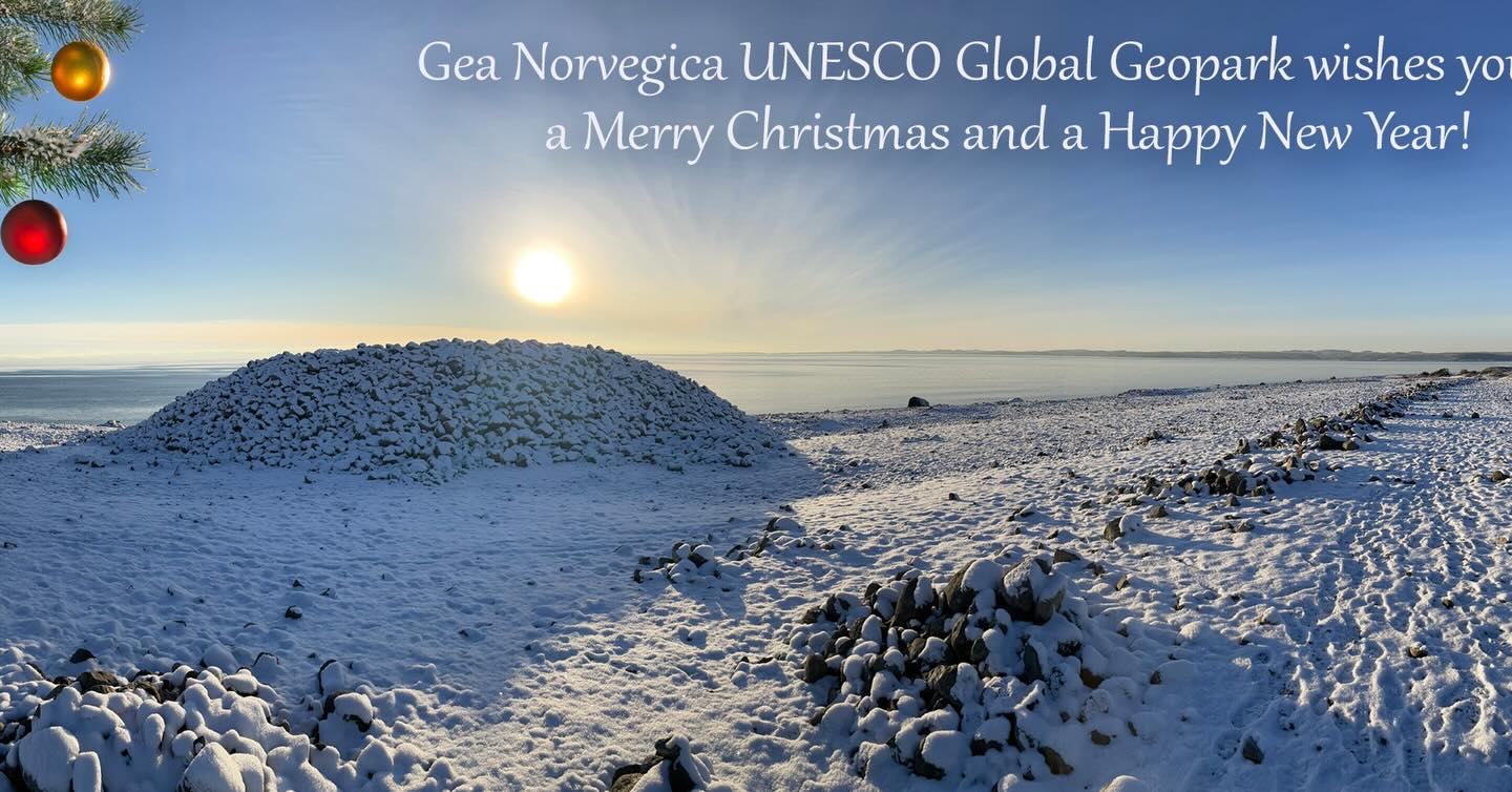 Vi ønsker alle en god jul og et godt nytt år 🎄🌟