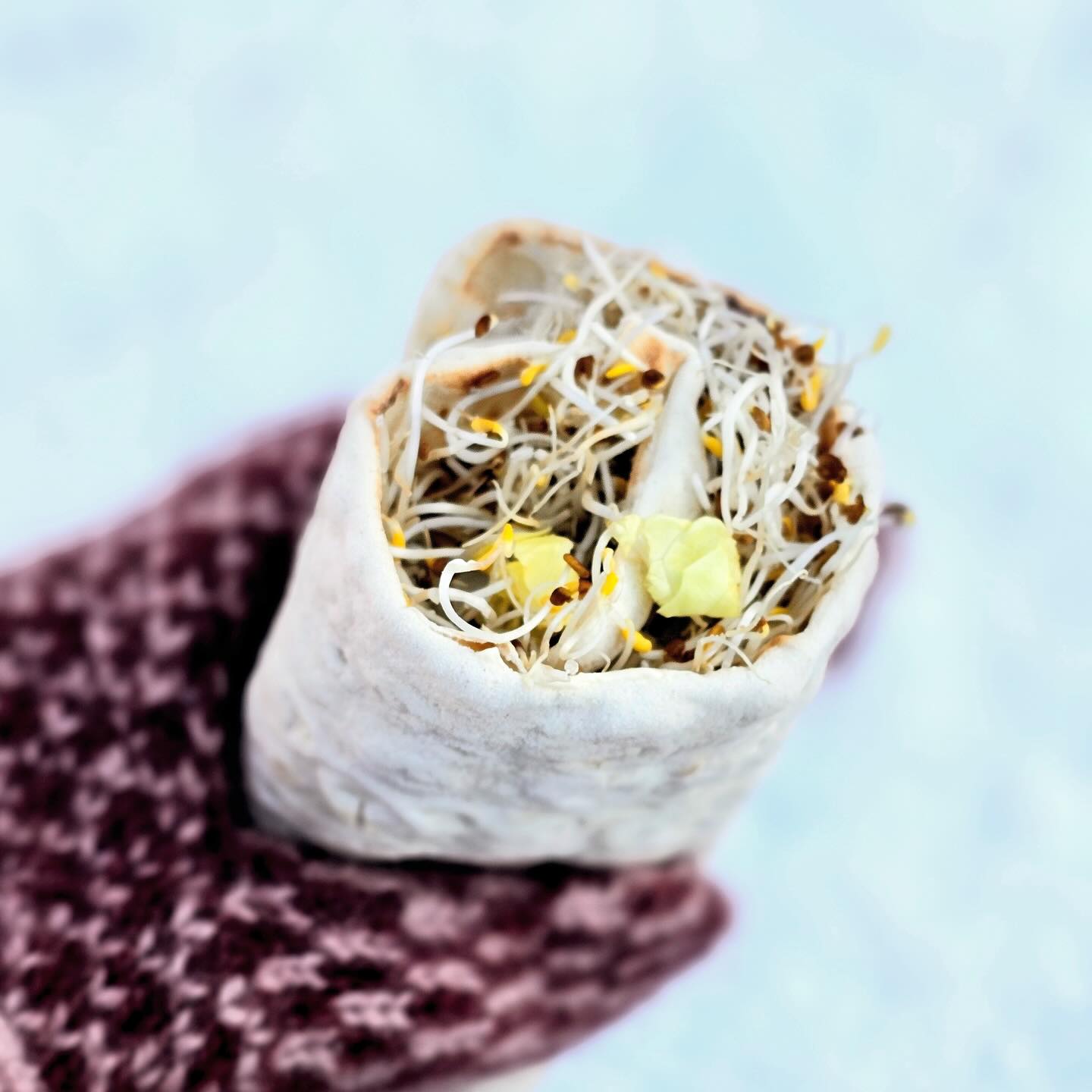 Tunnbröd, färskost och groddar! 🌱
Det perfekta mellanmålet i pulkabacken. Enkelt, gott och mättande 😋 Det gäller att passa på innan snön försvinner. Trevlig helg ☀️❄️
#groddar #tunnbröd #alfalfagroddar #mellanmål #frånsverige
Foto: @annikasnaturligating ❄️