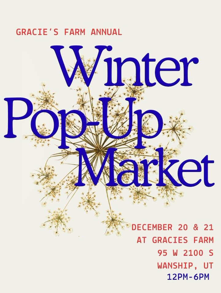 Something fun and festive to add to your calander this season⛄️