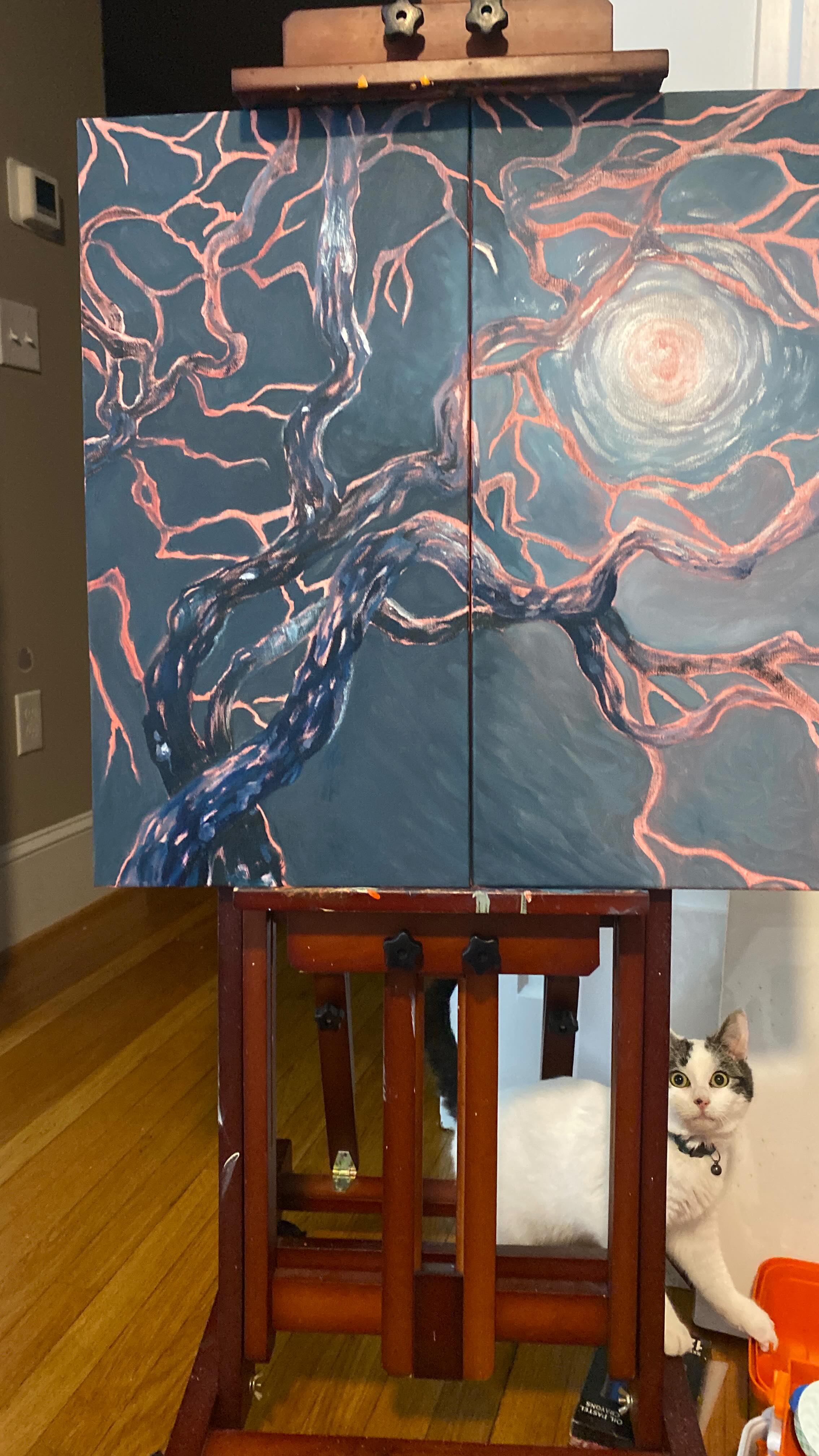 😑 Baker gets a bath
#dailycats #artistsoninstagram #artschoollife #cutecats