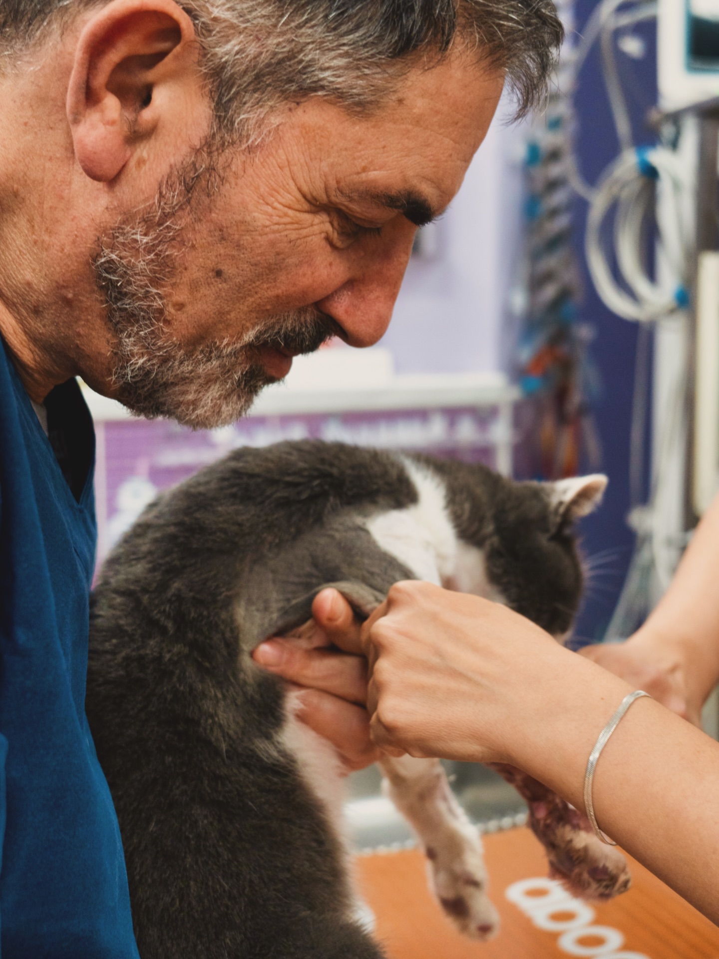 Ci sono mani che non curano soltanto, ma accolgono 🤲, calmano 🌿, ascoltano 💗.
Quelle del Dott. Lorenzo sono così: il punto fermo di Arkadia, la presenza che fa sentire al sicuro ogni suo piccolo paziente 🐱✨💙
#ArkadiaVetClinic #DottLorenzo #CuraConIlCuore #BenessereAnimale #ClinicaVeterinaria #ArkadiaCassino #AmorePerGliAnimali