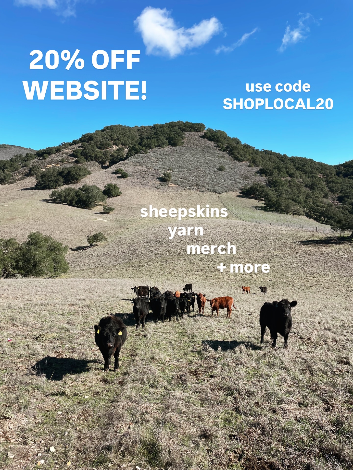 Happy Thanksgiving! Here’s 20% off all products on the website until the end of the month. Thanks for supporting your local ranchers! 🍂🐄🐏🌱
#local #shoplocal #supportlocal #thanksgiving #smallbusiness #sale #sheepskins #yarn #wool #ranching #ranch #familyfarm #california #centralcoast #slocounty #santabarbara