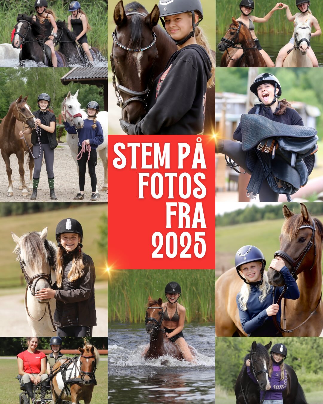 (5/5) Hvilke foto er det bedste? Vi vil i 5 opslag finde de bedste fotos fra 2025. Skriv tallet i kommentaren på det foto du bedst kan lide. Tallet står nederst i bunden på hvert foto❣️- I hvert af de 5 opslag finder vi et vinderfoto - det som flest har stemt på. De 5 fotos med flest stemmer vil dyste om 1. pladsen til sidst. Alle der stemmer har mulighed for at vinde en gave som vi offentliggør til slut💝 Stem gerne i alle 5 opslag🏆