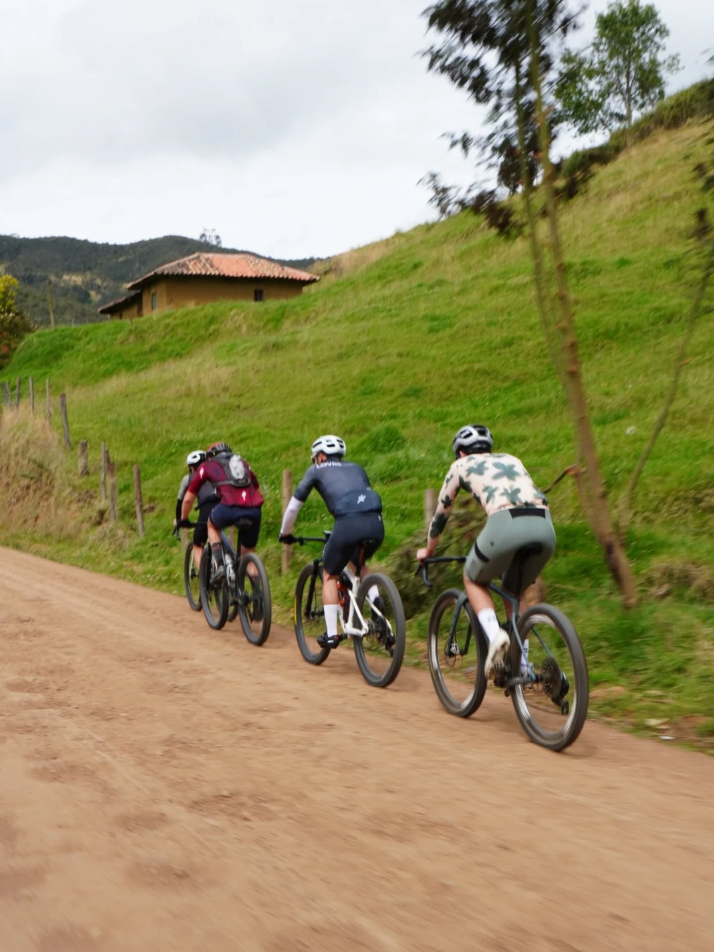 El #Gravelfest se puede correr en individual o en parejas. Se puede correr en graveleras o en montañeras.
En las categorías no se hace distinción si corres en gravelera o montañera. Tú escoges el arma.
Para parejas hay tres categorías. Parejas Mixtas, Parejas Damas y Parejas Varones. Solo en estas categorías se permite empujar a un compañero.
Hay las mismas categorías tanto para damas como para varones. Las categorías son por edad. Se toma en cuenta la edad al 31 de Diciembre del año en curso.
Registro, ruta e información en www.bikepackingecuador.com , link bio 👆
Inscripciones en @setecientos.cc , @lap.ccc , o en www.setecientos.cc , link bio 👆
@specializedec
@shimanoecuador
@naturhotel_
@lataqueria57cue
@593premiumlager
@toscana.alimentos
@lasuiza.ec