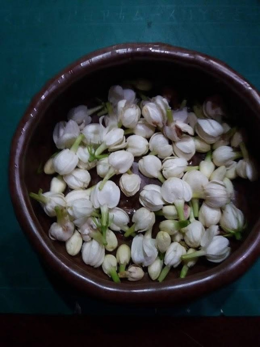 𝑭𝒍𝒐𝒓𝒂𝒍 𝑽𝒂𝒓𝒊𝒂𝒕𝒊𝒐𝒏 𝒐𝒇 𝑶𝒖𝒓 𝑶𝒓𝒈𝒂𝒏𝒊𝒄 𝑮𝒓𝒆𝒆𝒏 𝑻𝒆𝒂 🍵
Jasmine Blend
Using the traditional whole-flower scenting method, the jasmine is hand-picked “at night”—just as the flowers begin to bloom and release their fullest aroma. With no added flavouring, this blend captures the pure essence of jasmine: soft, elegant and lingering. Smooth and refreshing, it’s a calming floral twist on our everyday green tea.
#jasminetea #jasminegreentea #greentealover