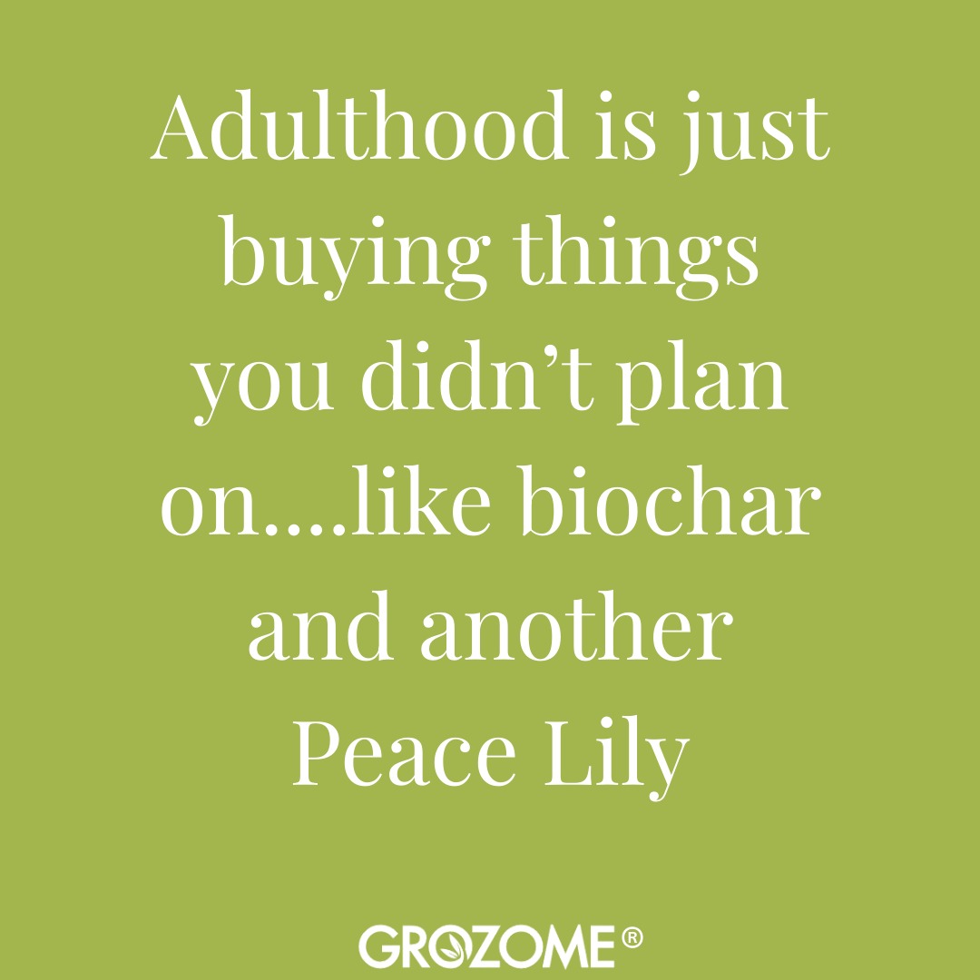 Adulting is buying things you didnât plan onâŠ
Like GROZOME biochar and somehow another Peace Lily.
But healthy soil makes it make sense.
Biochar improves drainage and moisture balance, provides microbes with a long-term home, and helps roots do their job, so plants grow stronger with less effort.
Better soil = happier plants.
Build your soil the smart way. Link in bio.
#soilhealth #biochar #livingsoil #plantcare #houseplantlife #plantparent #healthyplants #houseplantsofinstagram #gardeninghumor #grozome