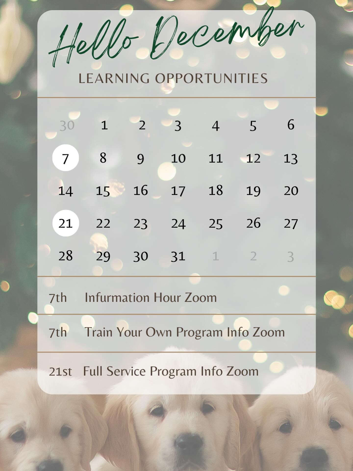 December Learning Lineup 🐾
Join our free Zoom sessions to learn, ask questions, and explore the world of service dogs! 🦮 Created to educate, inform, and support anyone exploring a service dog for themselves or a loved one.
✨ Links to sign up are in our bio.