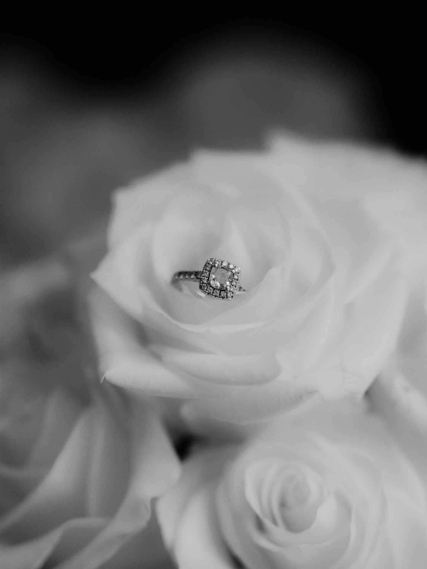 Your wedding, your way! Ditch the expectations and make it personal. Whether you're a fan of grand gestures or just intimate gatherings, it's about what makes you happy. I'm excited to see the unique celebrations in 2026! 🙌 This year, I've had the privilege of capturing stunning weddings, each reflecting the couple's style. From lavish florals to low-key elegance, it's all about embracing your individuality as a couple and what matters to you. Brides, remember to choose a look that makes you feel confident and beautiful - it shines through in the photos! And don't forget, comfort is key: pack those flats for a night of dancing. Grooms, if you want to go all out and rock a three piece absolutely do. If you’re more a shirt and jeans on a mountain top that’s also fine! Invest in a great planner or coordinator, and let them handle the details so you can soak up every moment. Make it your day, your way! ✨
#wedding #northbrookpark #weddingplanningtips #northbrookparkwedding #surreywedding #surreyweddingphotographer