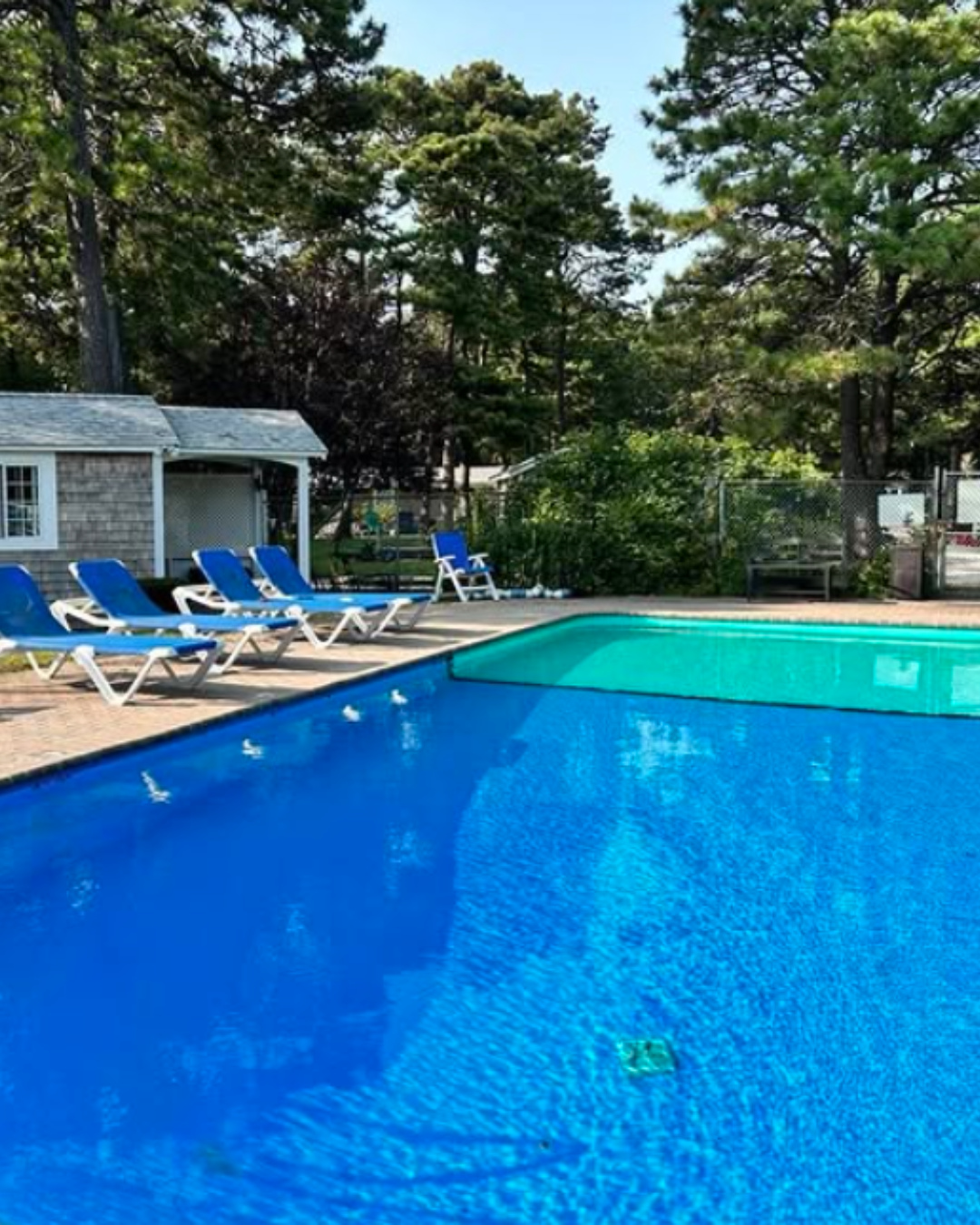 ☀ Dive into relaxation at Yarmouth Country!
Whether you’re soaking up the sun on a lounge chair or taking a refreshing dip, our crystal-clear pool is your perfect summer escape. 🏖
Unwind, recharge, and make every moment feel like vacation. 💦
📍 Yarmouth Country, Cape Cod
🔗 Book your stay today link in bio!
#CapeCodVacation #YarmouthCountry #PoolsideParadise #SummerEscape #CoastalGetaway #VacationRental #StayCapeCod #RelaxAndUnwind #BeachVibes #NewEnglandGetaway