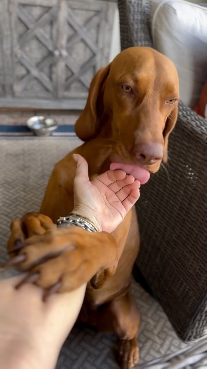 Cuddles > cardio. Minding my biz accordingly and wishing you a #happythanksgivingday